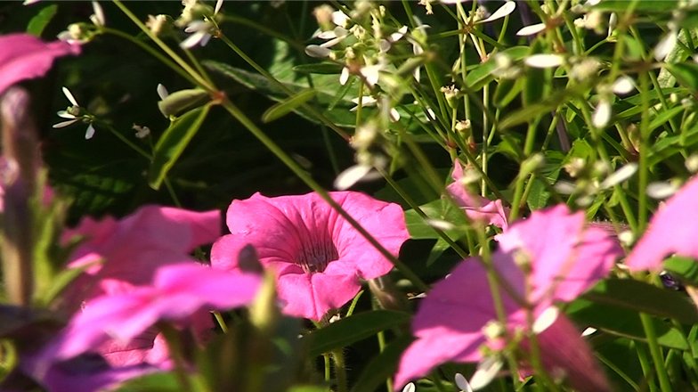 BlashillAudioVideo.com background image
